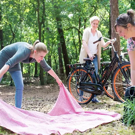 Сasa de vacaciones Restyled With Dishwasher In The Woods